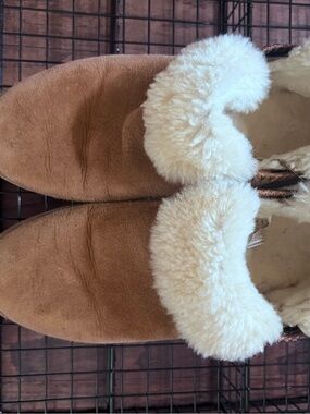 UGG Women's Chestnut Suede Ankle Booties with Cream Shearling